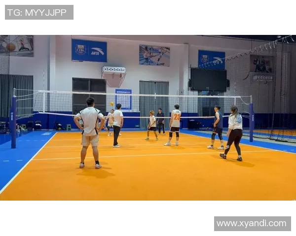 重庆排球队灵活性分析与发展探讨聚焦排球运动的多样化与创新能力