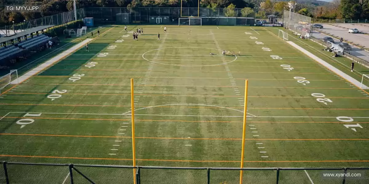 赛事回放,精彩永不落幕🔄